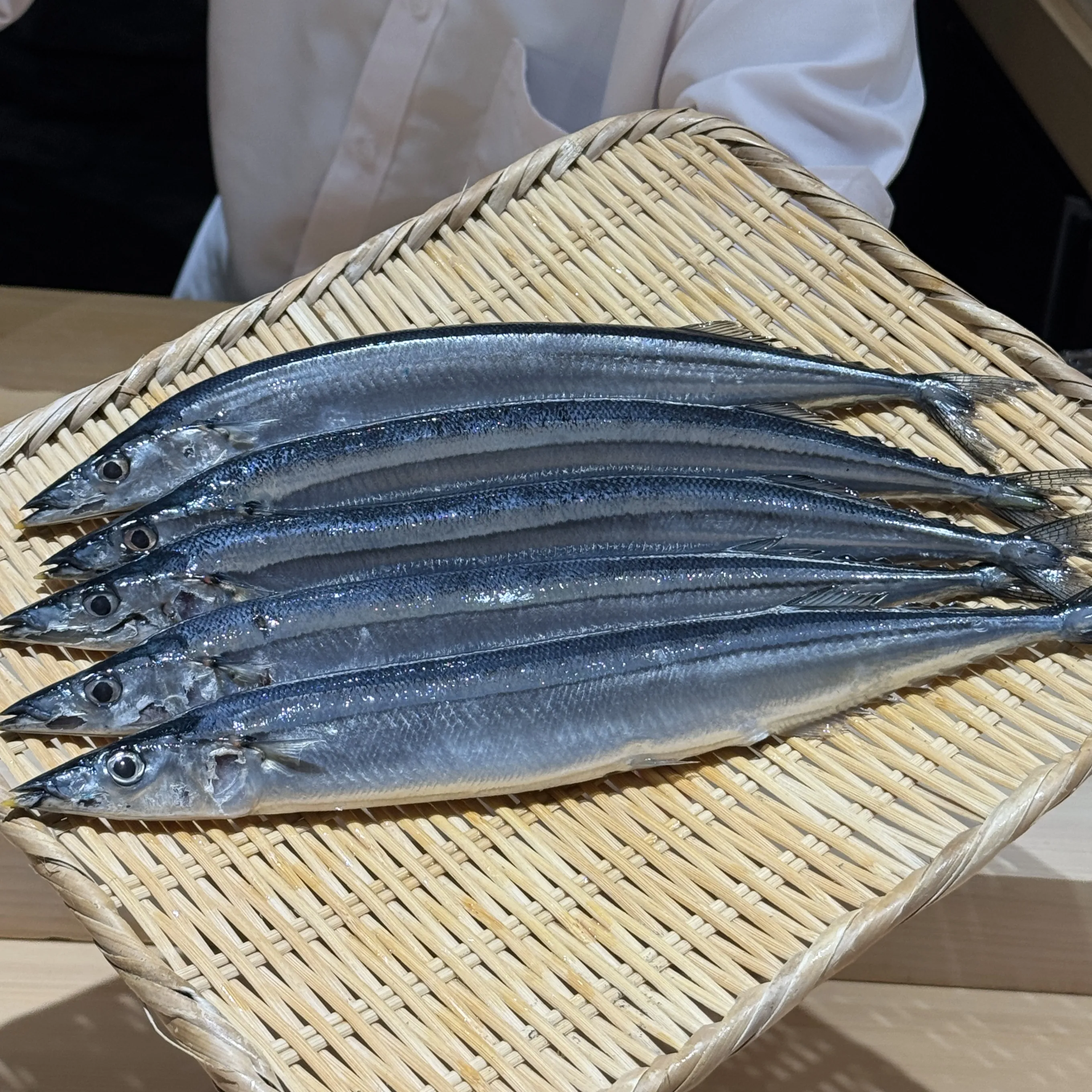青魚